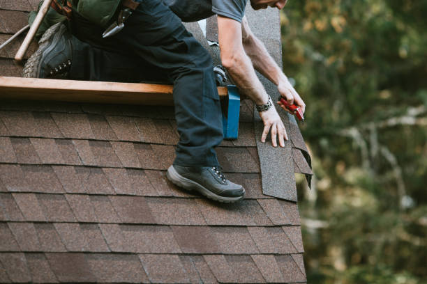 Best Roof Gutter Cleaning  in Omaha, TX