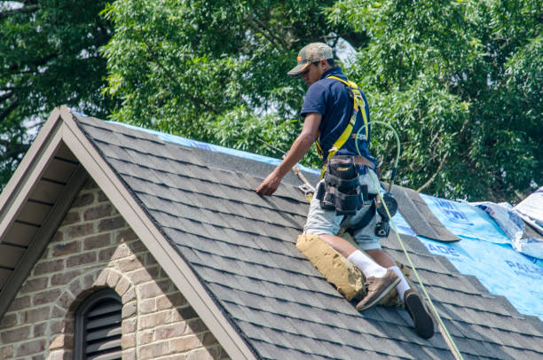 Best Residential Roofing Contractor  in Omaha, TX